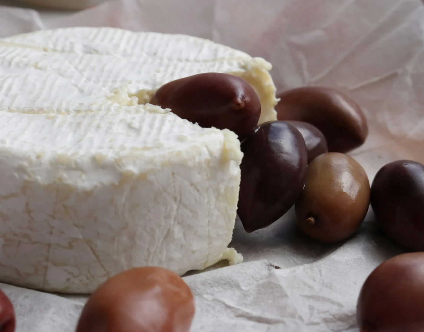 Cheese on parchment — illustrative stock photograph