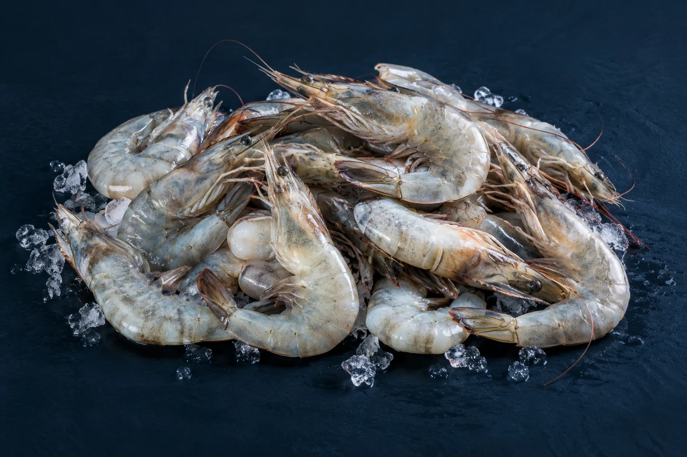 Shrimp — illustrative product image
